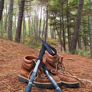 Temporada Otoño - Invierno